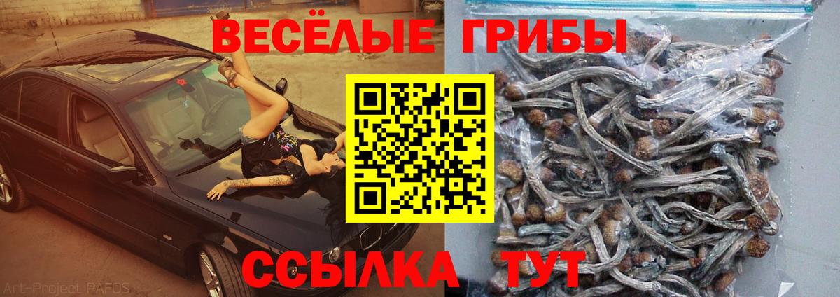Галлюциногенные грибы мицелий  Вход с VPN  Домодедово 